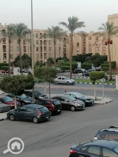 2 Bedroom Apartment for Rent in New Cairo, Cairo - 1000495263. jpg 2 Bedroom Apartment for Rent in New Cairo, Cairo - 1000495263. jpg
