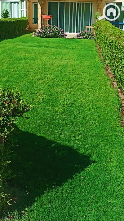 شاليه 2 غرفة نوم للايجار في العين السخنة، السويس - 1000167937. webp