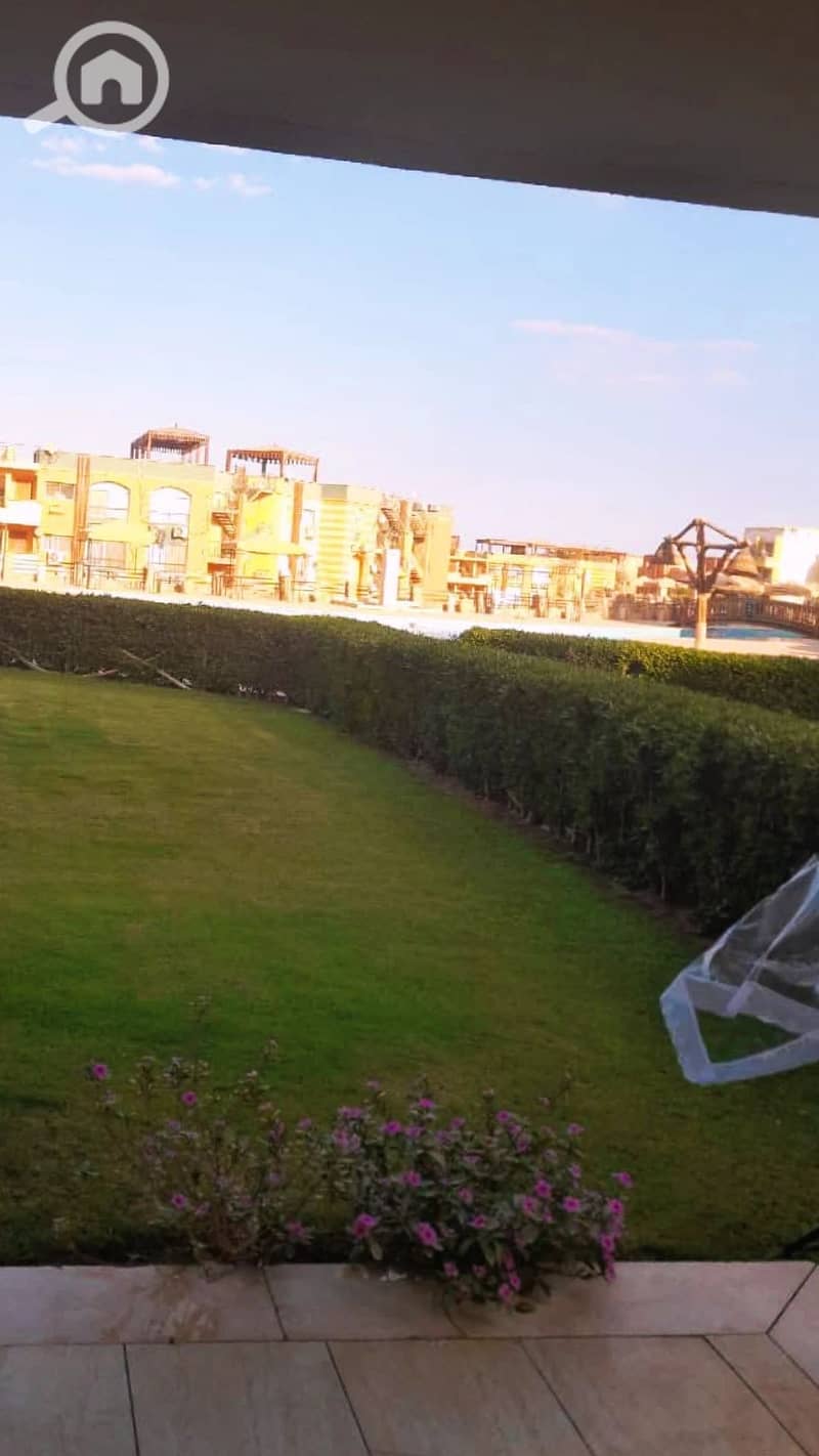 2 1000170216. webp