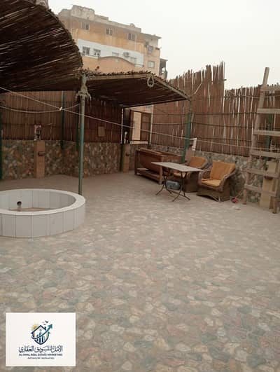 فلیٹ 1 غرفة نوم للايجار في المعادي، القاهرة - 1000113859. jpg