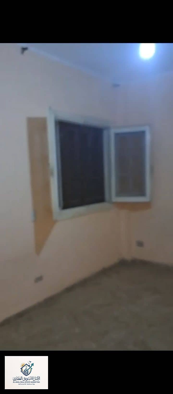 9 1000261845. jpg