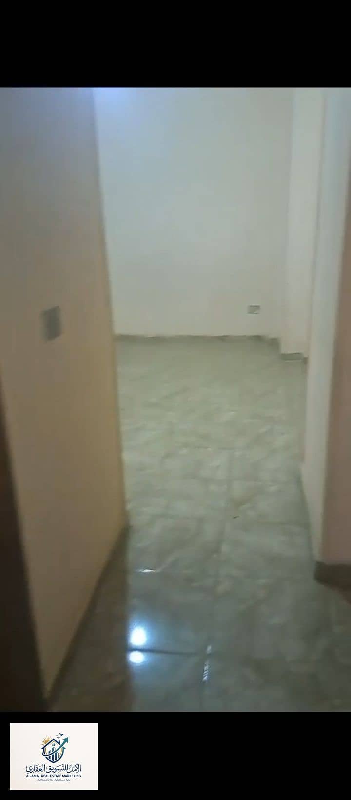13 1000261844. jpg
