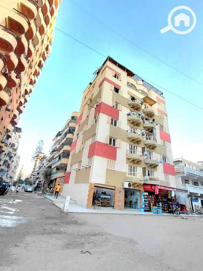 فلیٹ 3 غرف نوم للبيع في النخيل، الإسكندرية - 1001056561. jpg فلیٹ 3 غرف نوم للبيع في النخيل، الإسكندرية - 1001056561. jpg