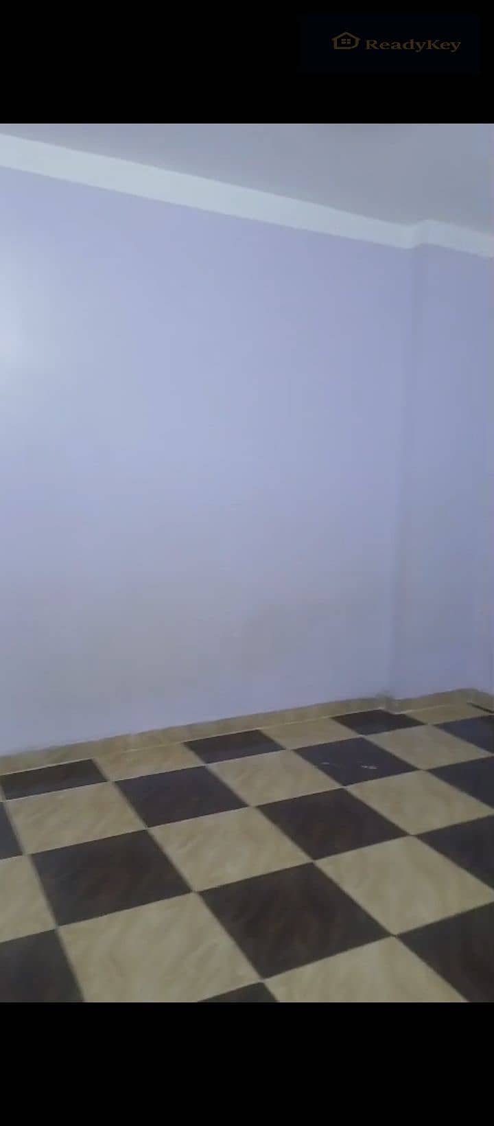 5 1000244035. jpg