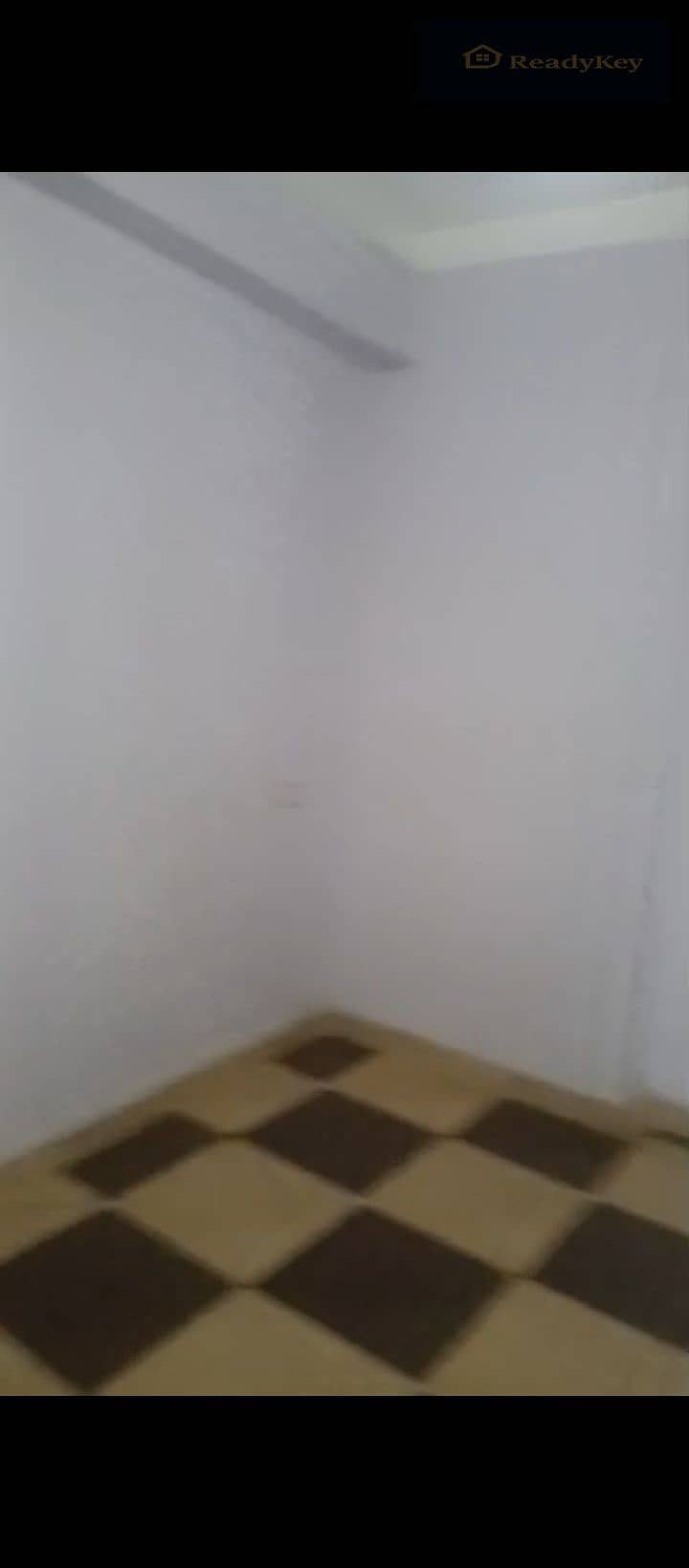 6 1000244036. jpg