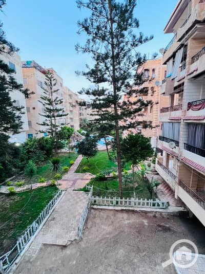شقة 3 غرف نوم للبيع في النخيل، الإسكندرية - 1001056289. jpg شقة 3 غرف نوم للبيع في النخيل، الإسكندرية - 1001056289. jpg