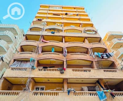 فلیٹ 1 غرفة نوم للبيع في النخيل، الإسكندرية - 1000479944. jpg