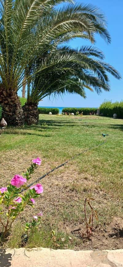 3 Bedroom Twin House for Sale in Ain Sukhna, Suez - فيلا صف أول على البحر للبيع