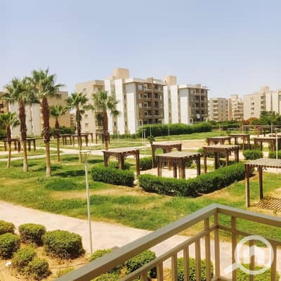 3 Bedroom Apartment for Rent in Shorouk City, Cairo - WhatsApp Image 2026-08-25 at 5.36. 43 AM. jpeg 3 Bedroom Apartment for Rent in Shorouk City, Cairo - WhatsApp Image 2026-08-25 at 5.36. 43 AM. jpeg
