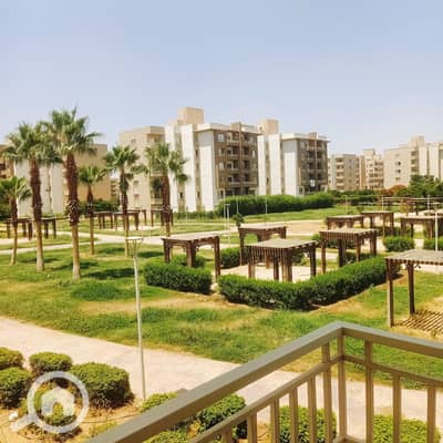 3 Bedroom Flat for Rent in Shorouk City, Cairo - WhatsApp Image 2026-08-25 at 3.36. 43 PM (1). jpeg