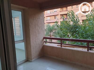 2 Bedroom Apartment for Rent in New Cairo, Cairo - WhatsApp Image 2026-08-24 at 4.36. 06 PM. jpeg 2 Bedroom Apartment for Rent in New Cairo, Cairo - WhatsApp Image 2026-08-24 at 4.36. 06 PM. jpeg