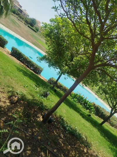 4 Bedroom Villa for Rent in Madinaty, Cairo - 1001372195. jpg
