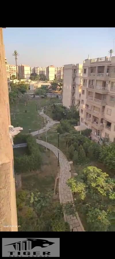 3 Bedroom Apartment for Sale in Madinaty, Cairo - 240011. jpg