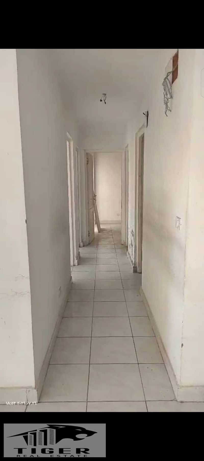 4 240007. jpg