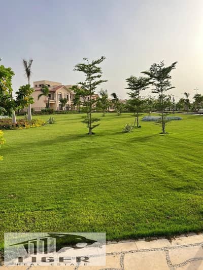 4 Bedroom Villa for Sale in Madinaty, Cairo - WhatsApp Image 2025-12-27 at 11.05. 11 AM (1). jpeg