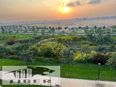 3 Bedroom Apartment for Sale in Madinaty, Cairo - WhatsApp Image 2026-08-27 at 2.55. 07 PM (1). jpeg