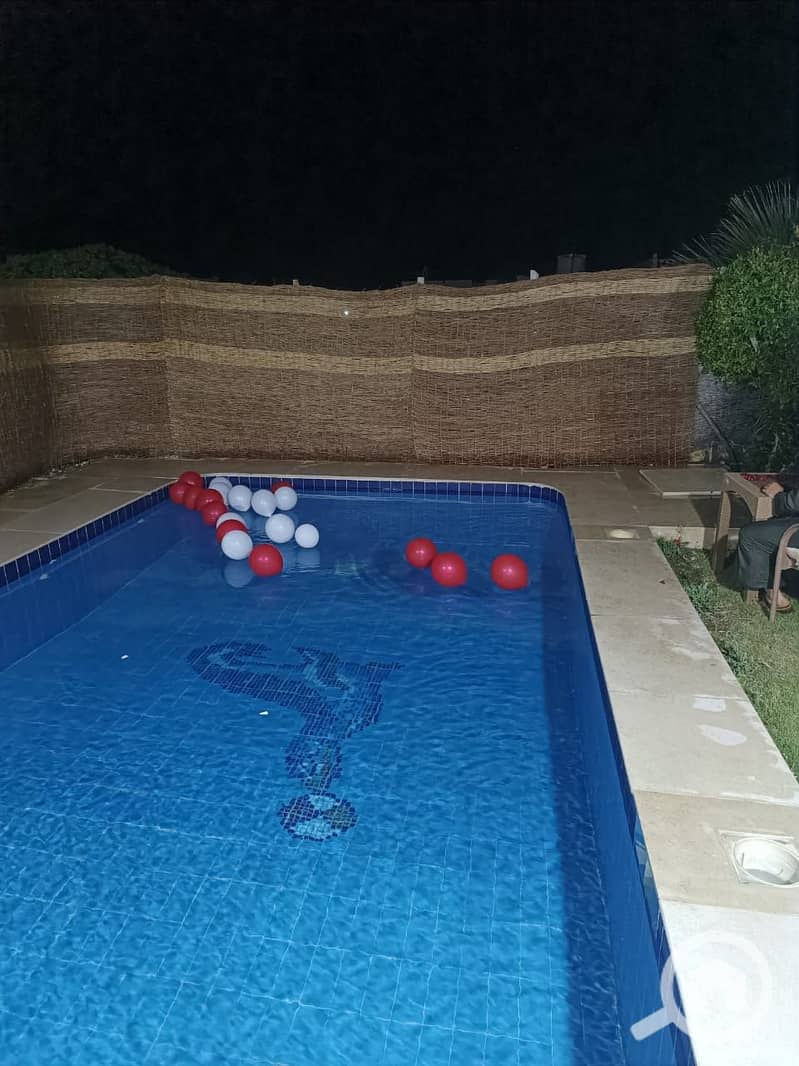 5 147688. jpg