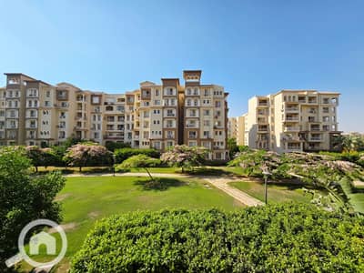 3 Bedroom Flat for Sale in Madinaty, Cairo - 20260826_162623. jpg