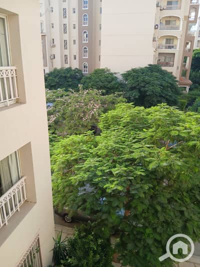 شقة 3 غرف نوم للبيع في مدينتي، القاهرة - 1002651035. jpg شقة 3 غرف نوم للبيع في مدينتي، القاهرة - 1002651035. jpg