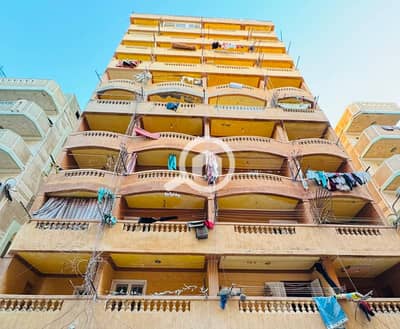 فلیٹ 1 غرفة نوم للبيع في النخيل، الإسكندرية - 1001048597. jpg