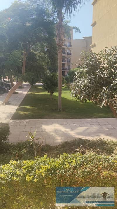 3 Bedroom Flat for Sale in New Cairo, Cairo - WhatsApp Image 2026-08-27 at 11.17. 09 AM. jpeg