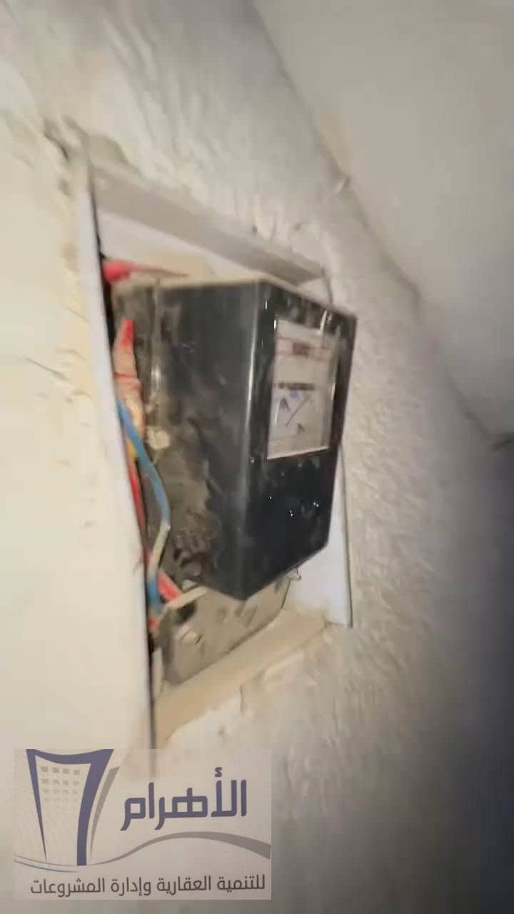 18 787074081_1087374520431094_6318948370973126028_n. jpeg