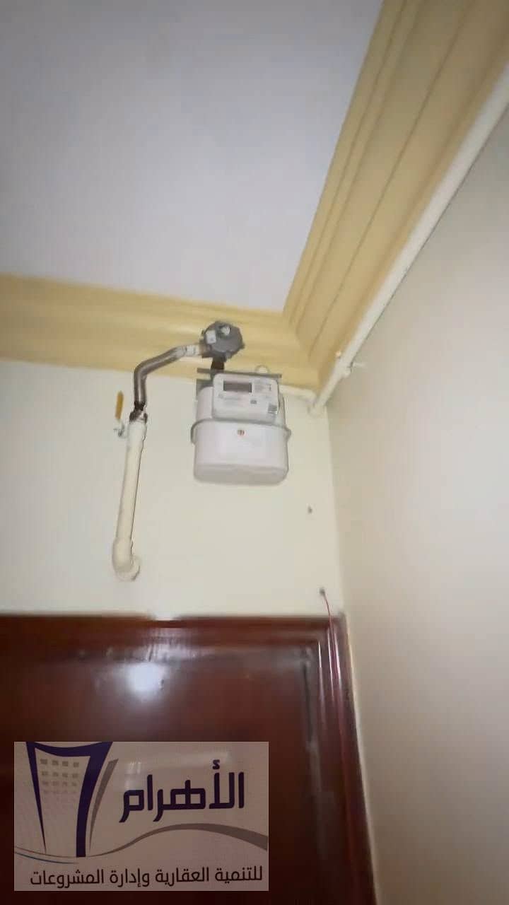 28 788106032_3508508235993851_5644971857282961780_n. jpeg