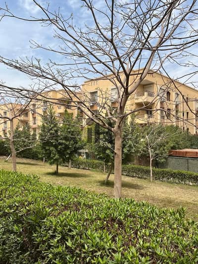 3 Bedroom Apartment for Sale in Sheikh Zayed, Giza - WhatsApp Image 2026-08-27 at 4.30. 11 PM. jpeg