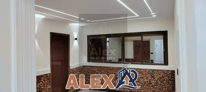 Office for Rent in Miami, Alexandria - WhatsApp Image 2026-08-27 at 11.31. 36 AM (2). jpeg Office for Rent in Miami, Alexandria - WhatsApp Image 2026-08-27 at 11.31. 36 AM (2). jpeg