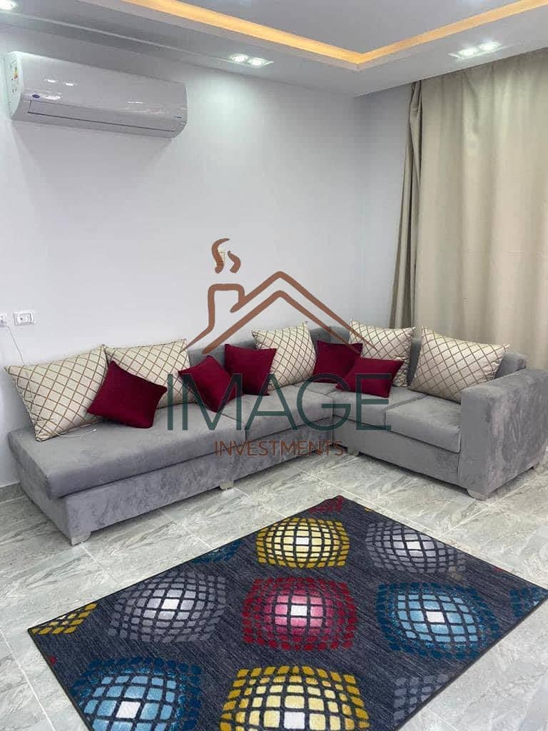 8 131640. jpg