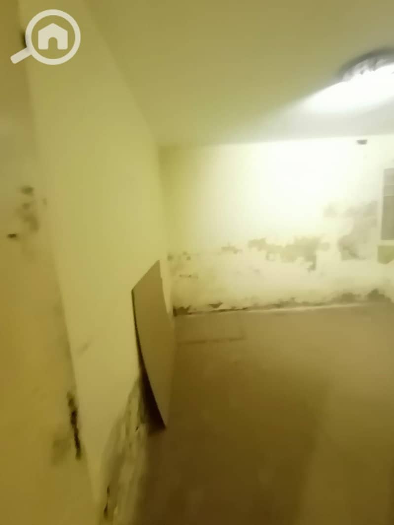 4 29611. jpg