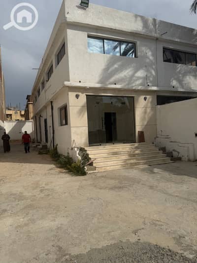 صالة عرض للايجار في العامرية، الإسكندرية - IMG_0208. jpg صالة عرض للايجار في العامرية، الإسكندرية - IMG_0208. jpg