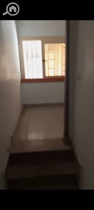 Office for Rent in Laurent, Alexandria - 1000367579. jpg Office for Rent in Laurent, Alexandria - 1000367579. jpg