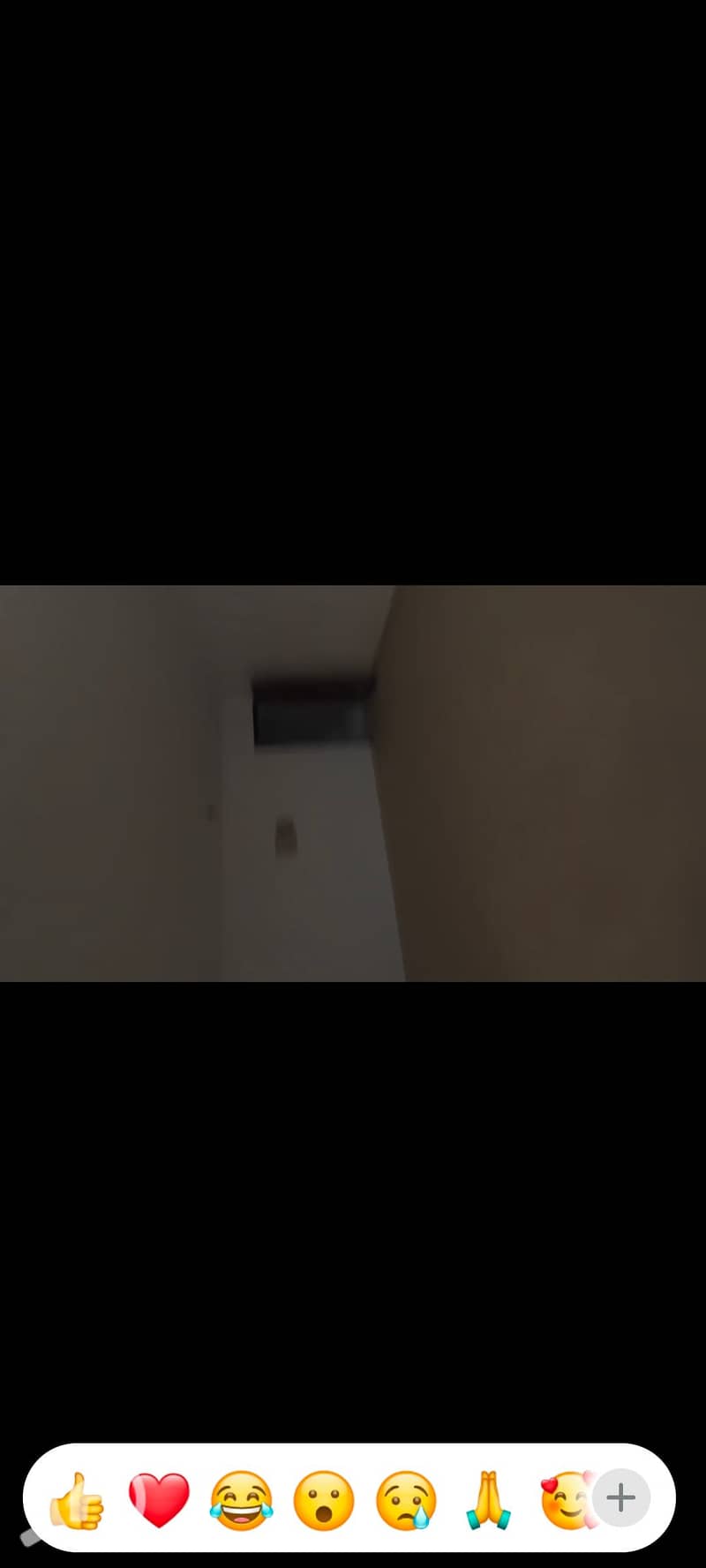 8 1002564733. jpg