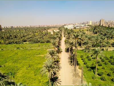 3 Bedroom Apartment for Sale in Faisal, Giza - شقة فاخرة للبيع بإطلالة بانورامية رائعه مفتوحة على المساحات الخضراء 3 Bedroom Apartment for Sale in Faisal, Giza - شقة فاخرة للبيع بإطلالة بانورامية رائعه مفتوحة على المساحات الخضراء