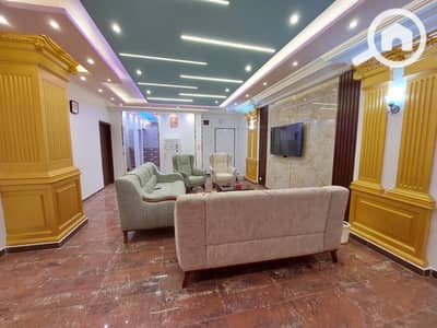 3 Bedroom Apartment for Rent in Nasr City, Cairo - 1000460550. jpg 3 Bedroom Apartment for Rent in Nasr City, Cairo - 1000460550. jpg