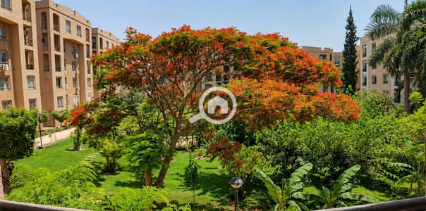 3 Bedroom Flat for Sale in New Cairo, Cairo - IMG_٢٠٢٦٠٨٢٧_٠٢١٣٣٩. png