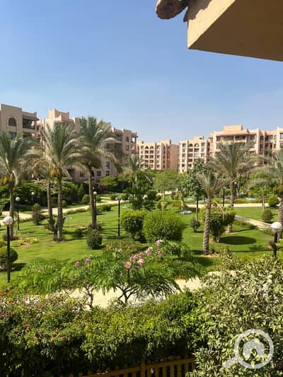 فلیٹ 3 غرف نوم للايجار في القاهرة الجديدة، القاهرة - WhatsApp Image 2026-08-27 at 6.33. 32 PM. jpeg فلیٹ 3 غرف نوم للايجار في القاهرة الجديدة، القاهرة - WhatsApp Image 2026-08-27 at 6.33. 32 PM. jpeg
