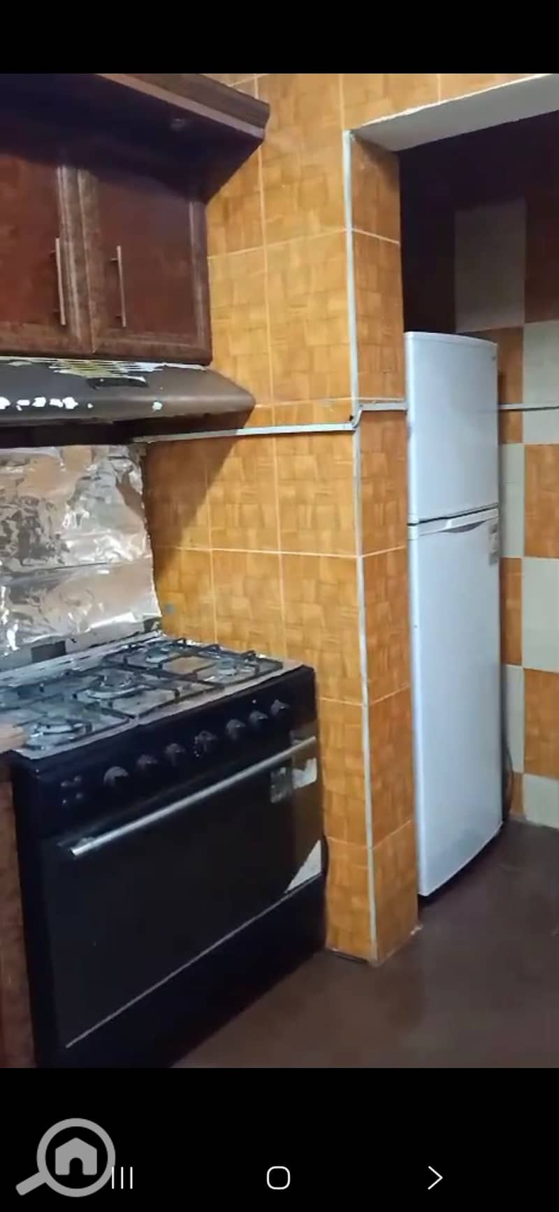 3 46657. jpg