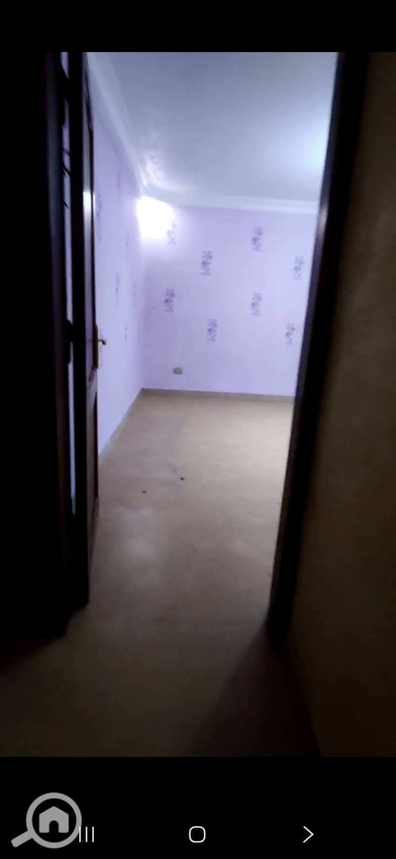 3 46721. jpg