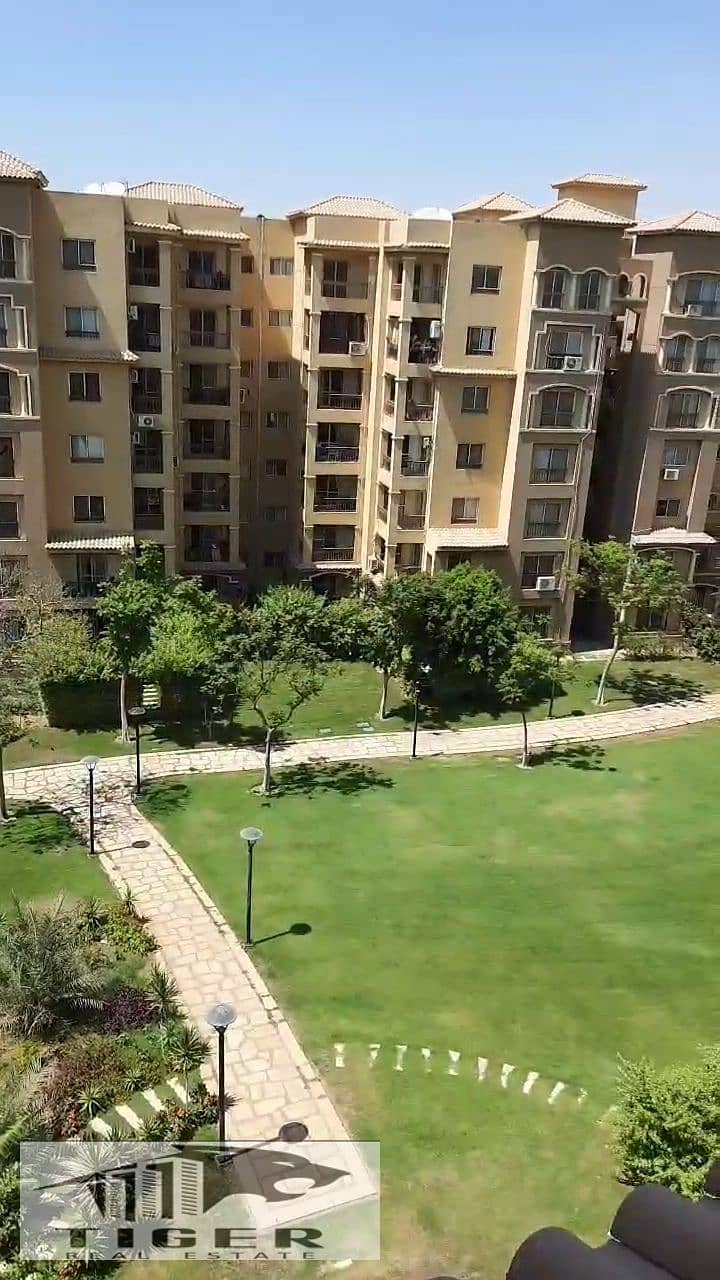 2 1001014463. jpg