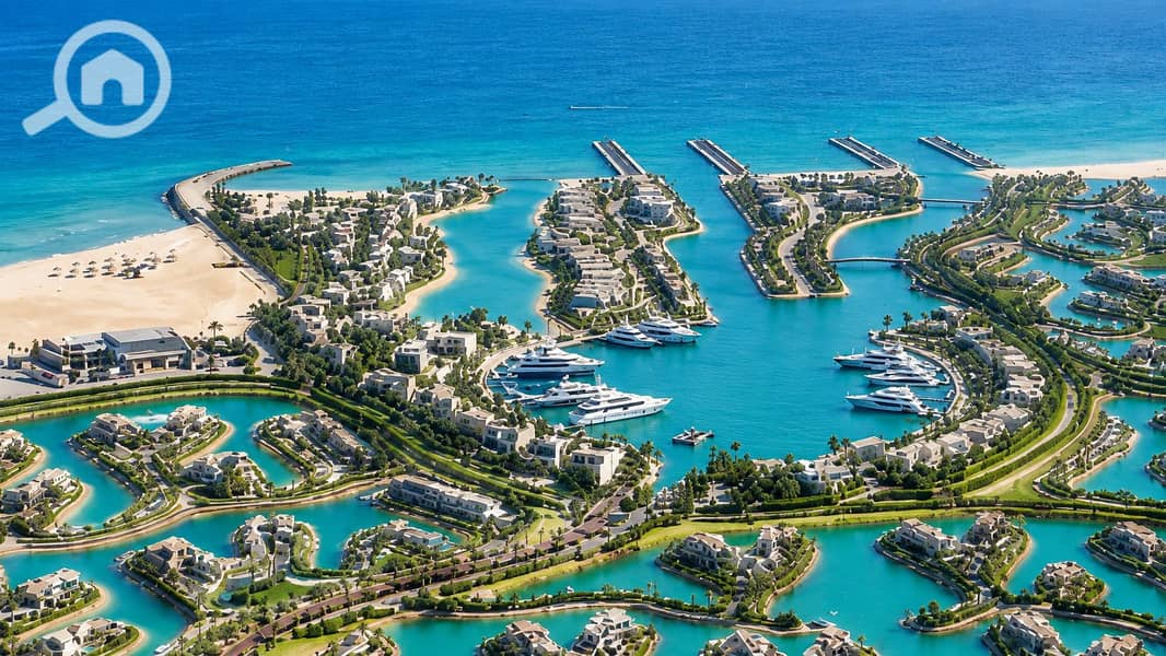 15 ساوث_ميد_ايجيبتChatGPT Image Jun 23, 2026 at 11_35_35 AM. png
