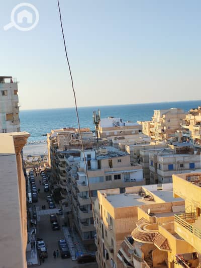 فلیٹ 3 غرف نوم للبيع في النخيل، الإسكندرية - 85a5f926-0989-47b7-b8fd-4f8d3d5bc69d. jpg