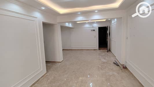 3 Bedroom Flat for Rent in Laurent, Alexandria - 1000711488. jpg