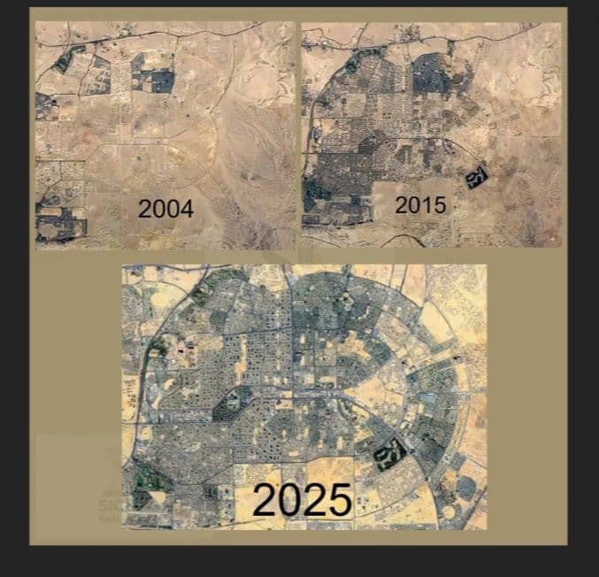 2 1000355458. jpg
