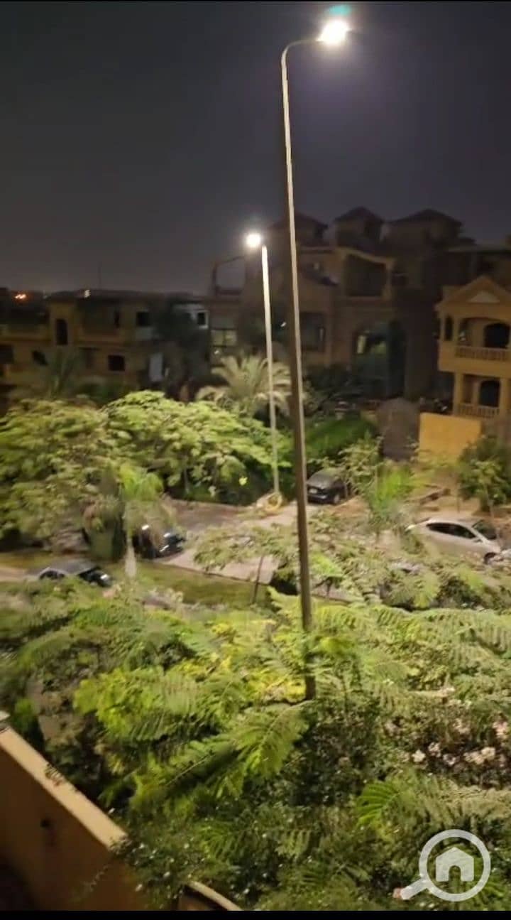12 1000175424. jpg