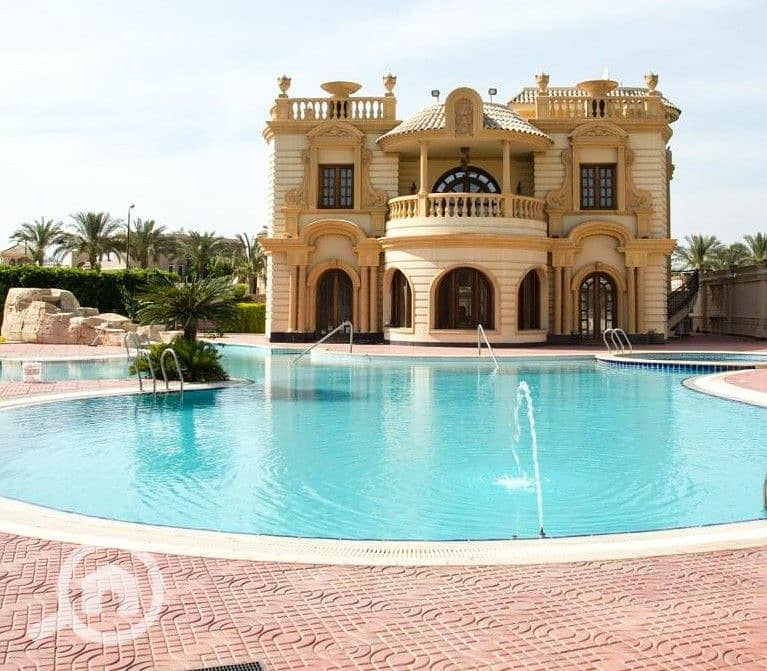 ضحايا النخيل (42). jpeg ضحايا النخيل (42). jpeg