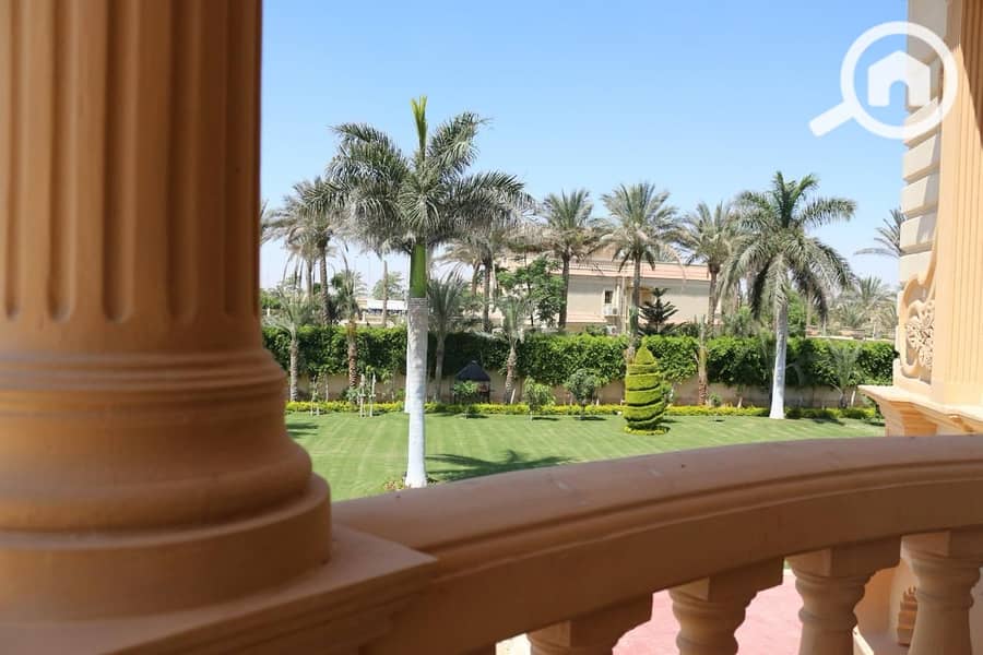 29 ضحايا النخيل (6). jpeg
