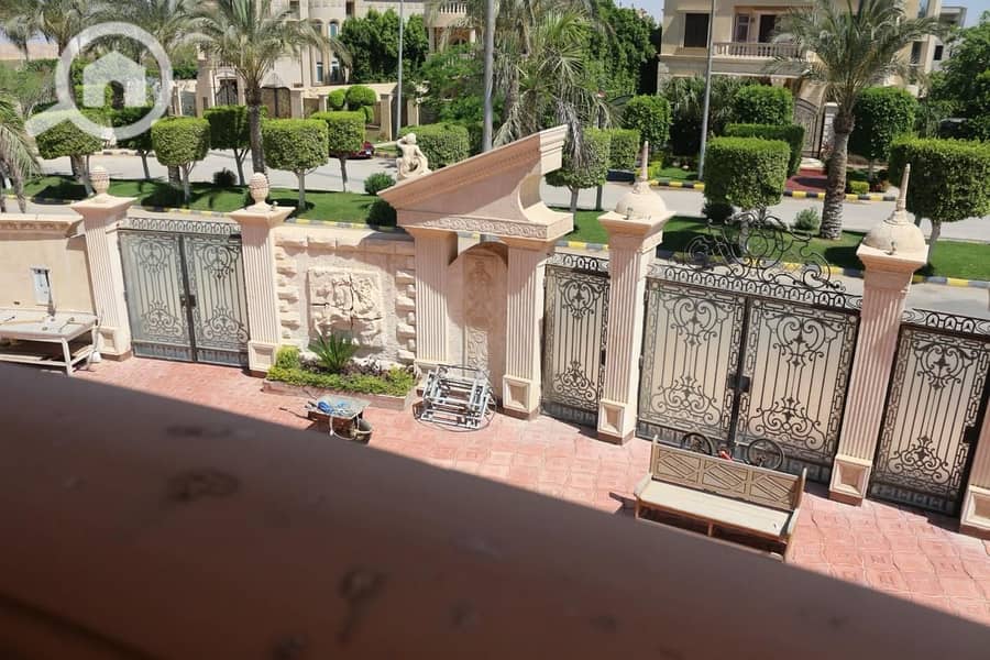30 ضحايا النخيل (9). jpeg