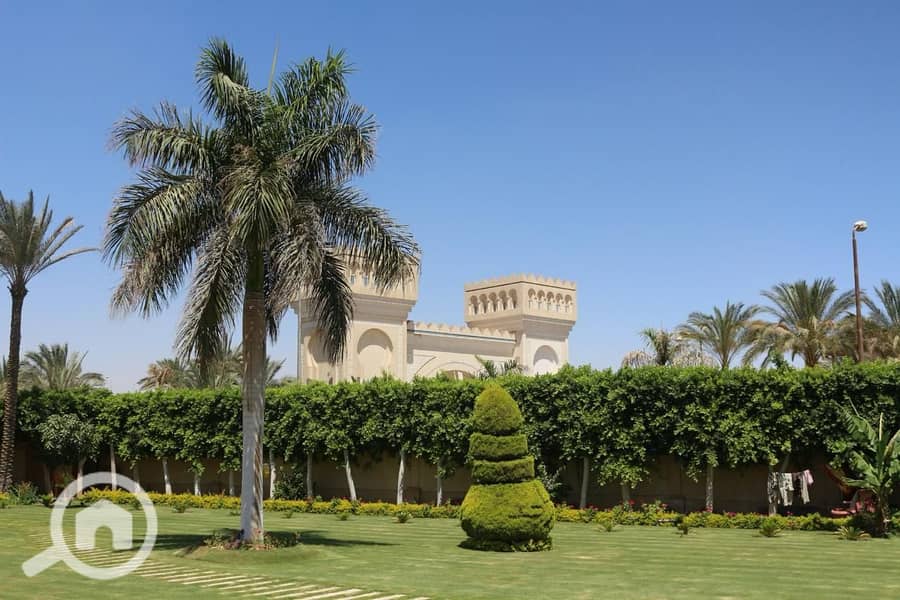 31 ضحايا النخيل (12). jpeg